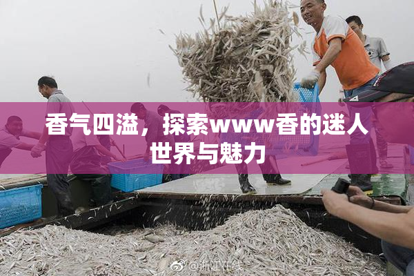 香气四溢，探索www香的迷人世界与魅力