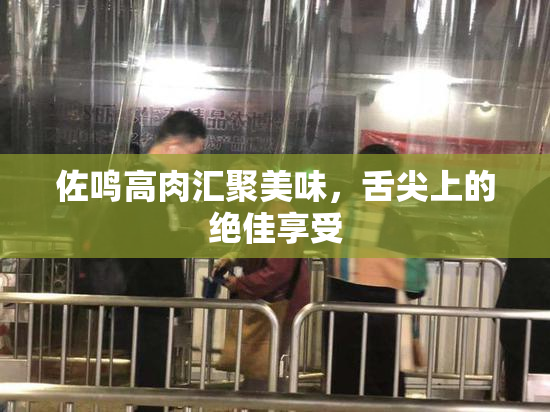 佐鸣高肉汇聚美味，舌尖上的绝佳享受