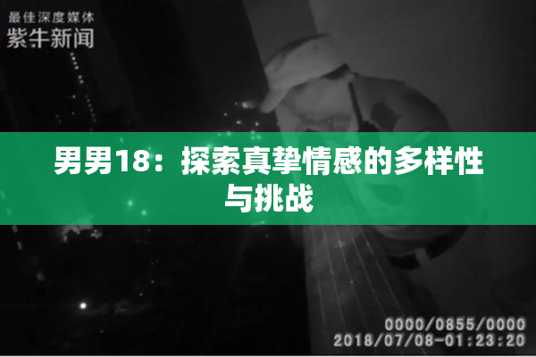 男男18：探索真挚情感的多样性与挑战