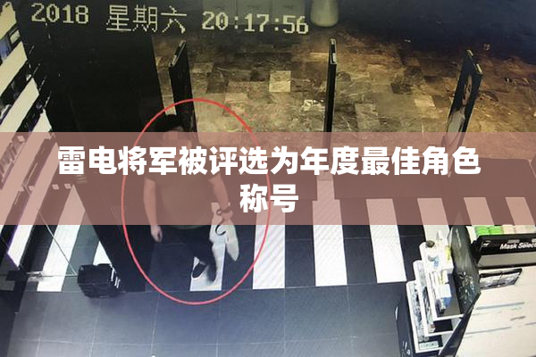 雷电将军被评选为年度最佳角色称号