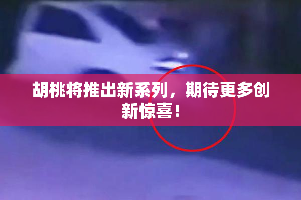 胡桃将推出新系列，期待更多创新惊喜！
