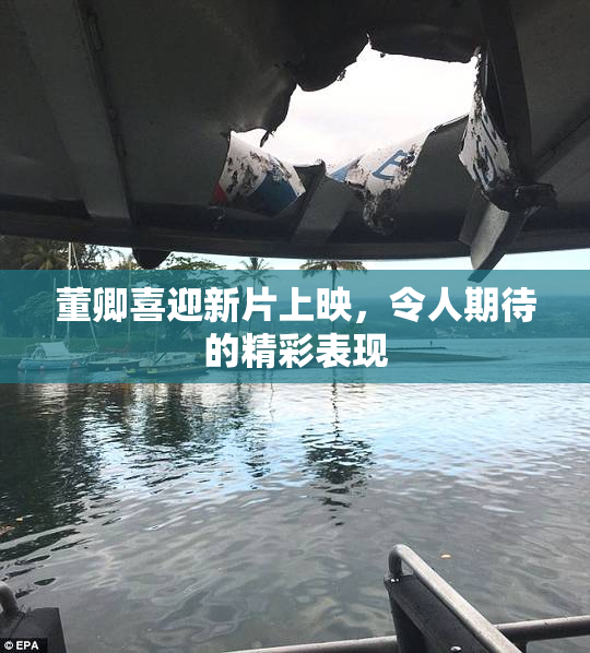 董卿喜迎新片上映，令人期待的精彩表现