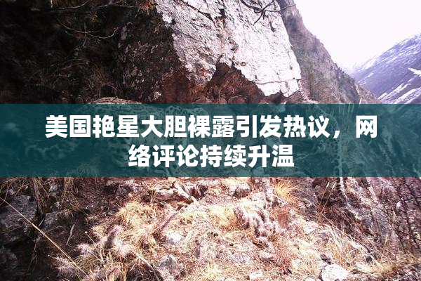 美国艳星大胆裸露引发热议，网络评论持续升温