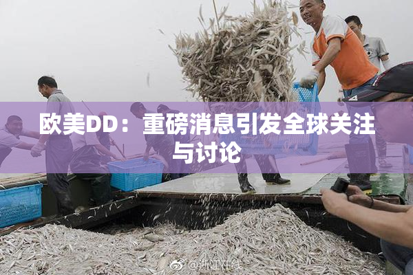 欧美DD：重磅消息引发全球关注与讨论