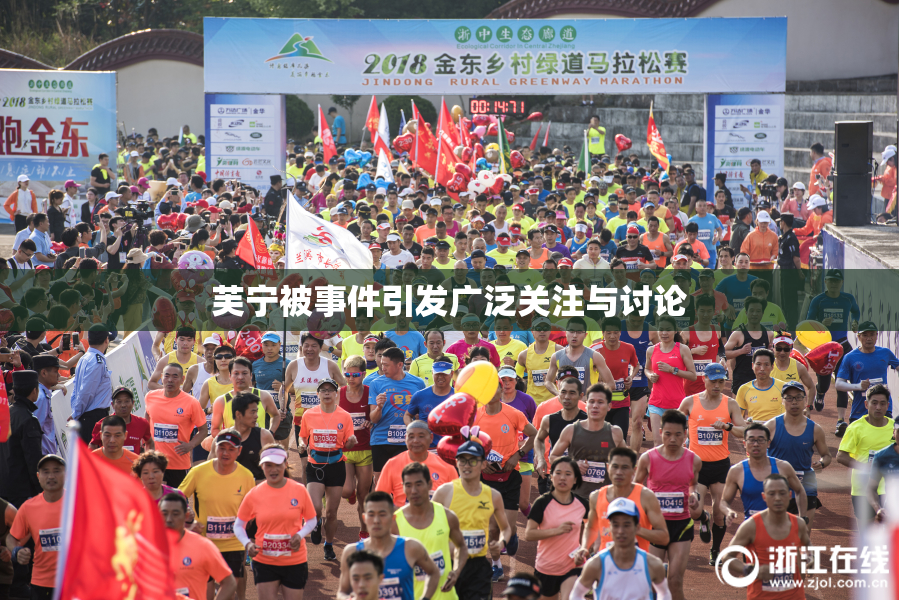 芙宁被事件引发广泛关注与讨论
