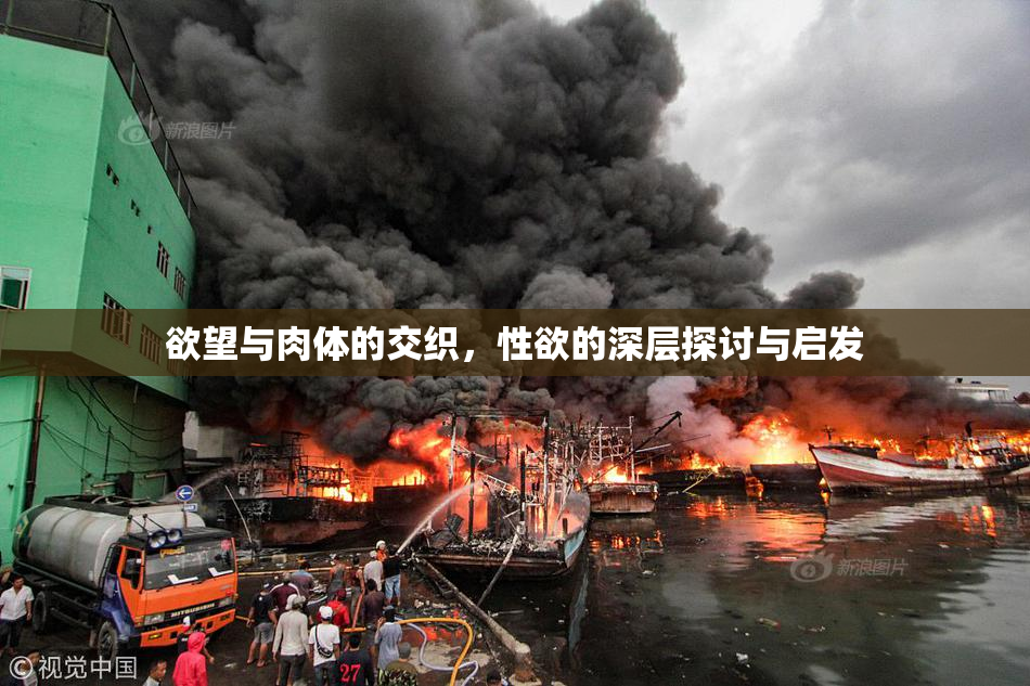 欲望与肉体的交织，性欲的深层探讨与启发