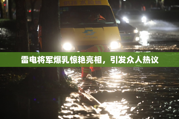 雷电将军爆乳惊艳亮相，引发众人热议