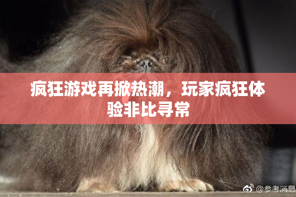 疯狂游戏再掀热潮，玩家疯狂体验非比寻常