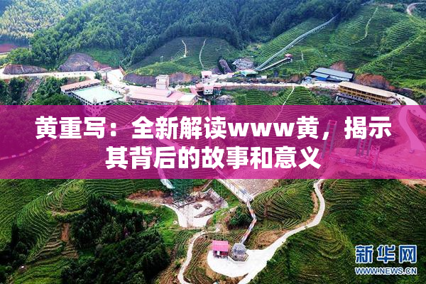 黄重写：全新解读www黄，揭示其背后的故事和意义