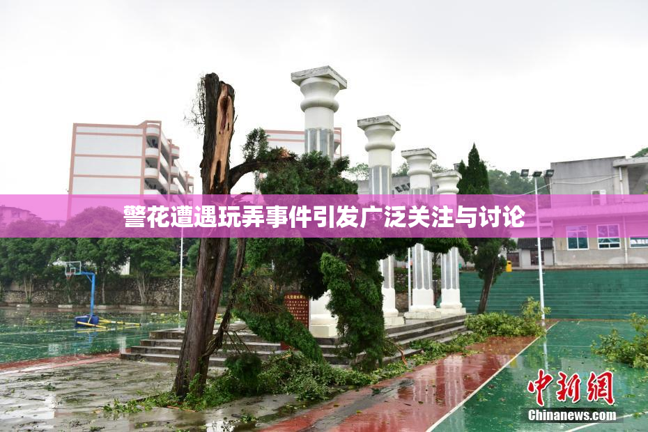 警花遭遇玩弄事件引发广泛关注与讨论