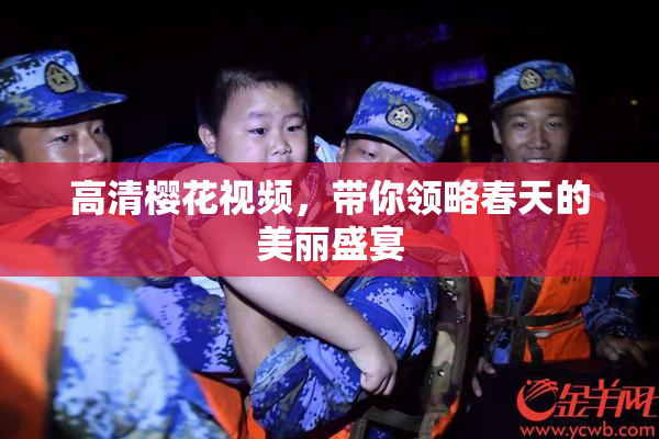高清樱花视频，带你领略春天的美丽盛宴
