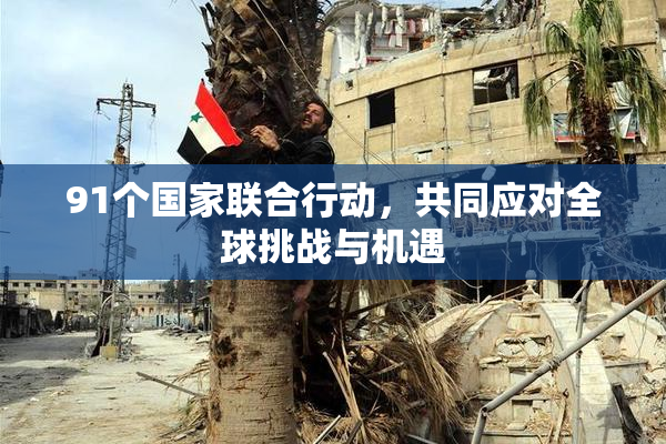 91个国家联合行动，共同应对全球挑战与机遇