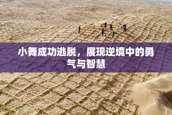小舞成功逃脱，展现逆境中的勇气与智慧