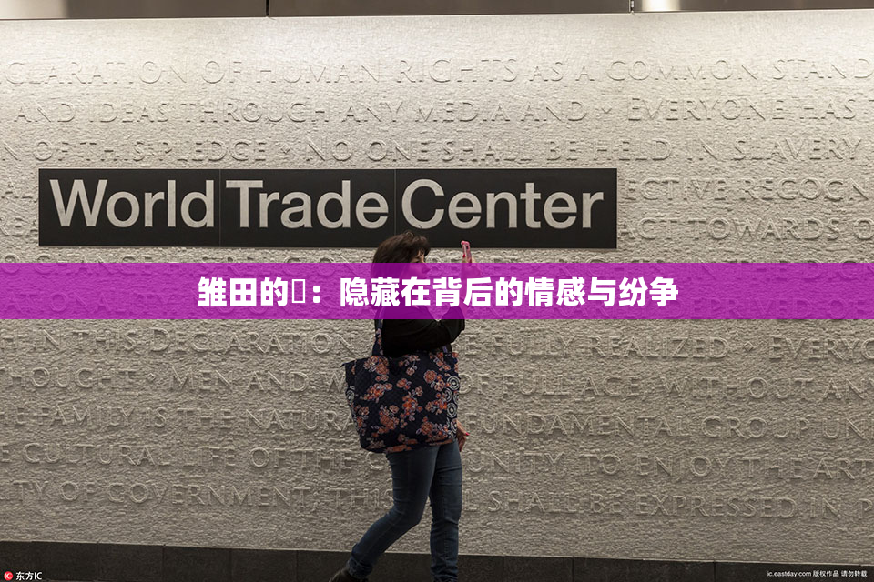 雏田的婬：隐藏在背后的情感与纷争