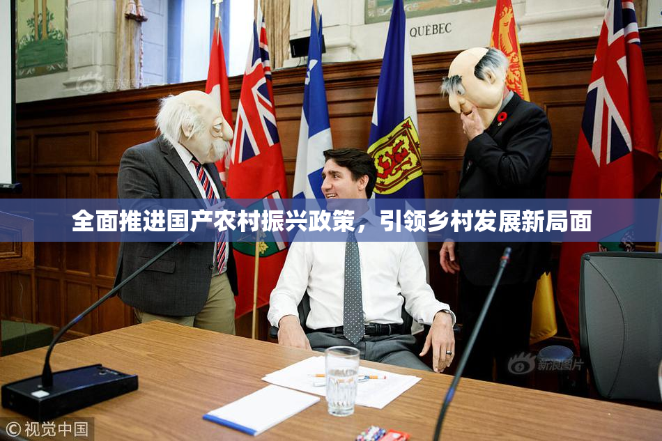 全面推进国产农村振兴政策，引领乡村发展新局面
