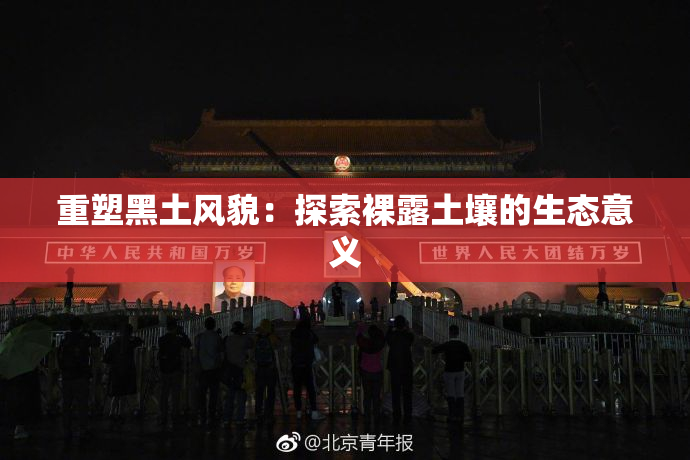 重塑黑土风貌：探索裸露土壤的生态意义