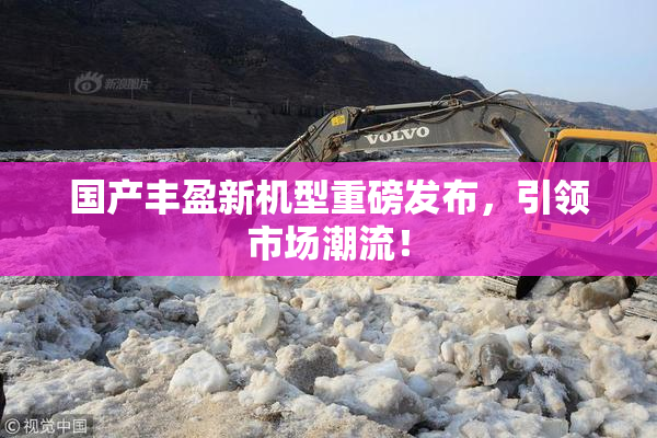 国产丰盈新机型重磅发布，引领市场潮流！