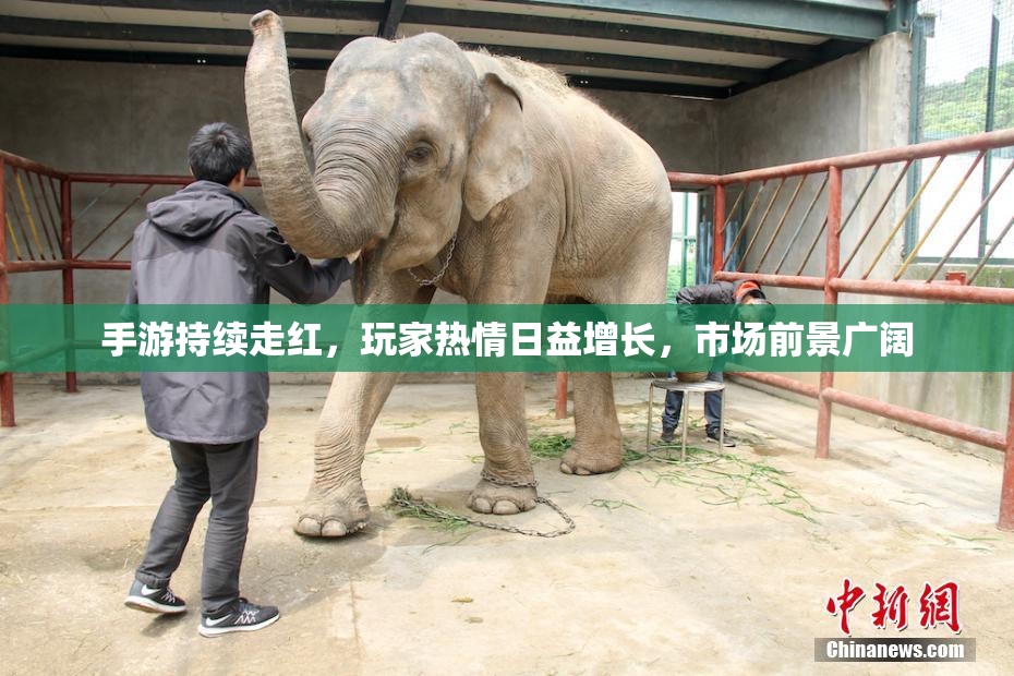 手游持续走红，玩家热情日益增长，市场前景广阔