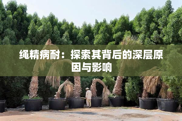 绳精病耐：探索其背后的深层原因与影响
