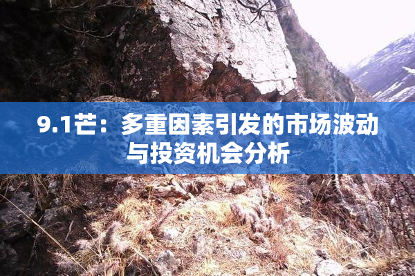 9.1芒：多重因素引发的市场波动与投资机会分析