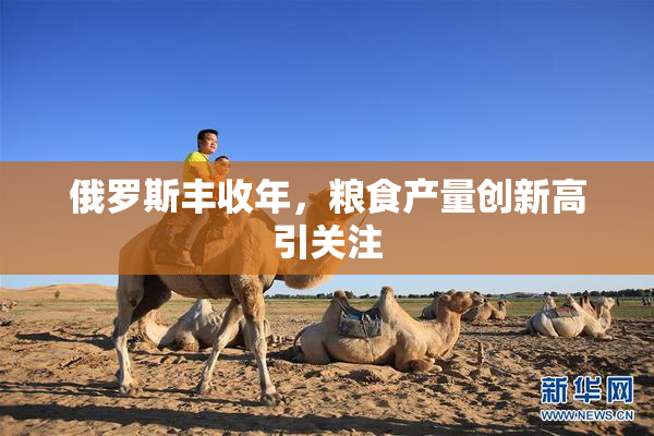 俄罗斯丰收年，粮食产量创新高引关注