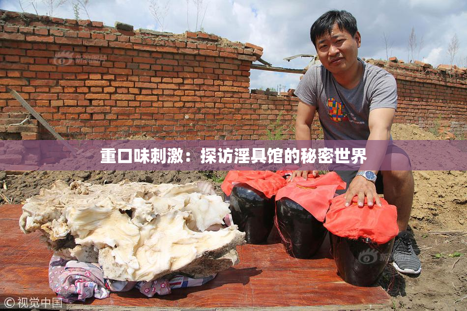 重口味刺激：探访淫具馆的秘密世界