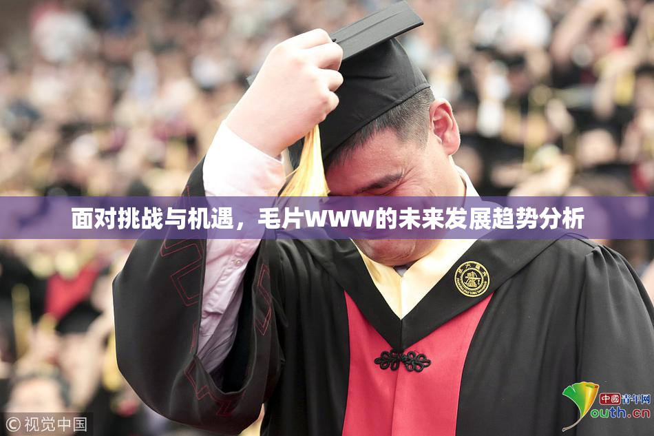 面对挑战与机遇，毛片WWW的未来发展趋势分析