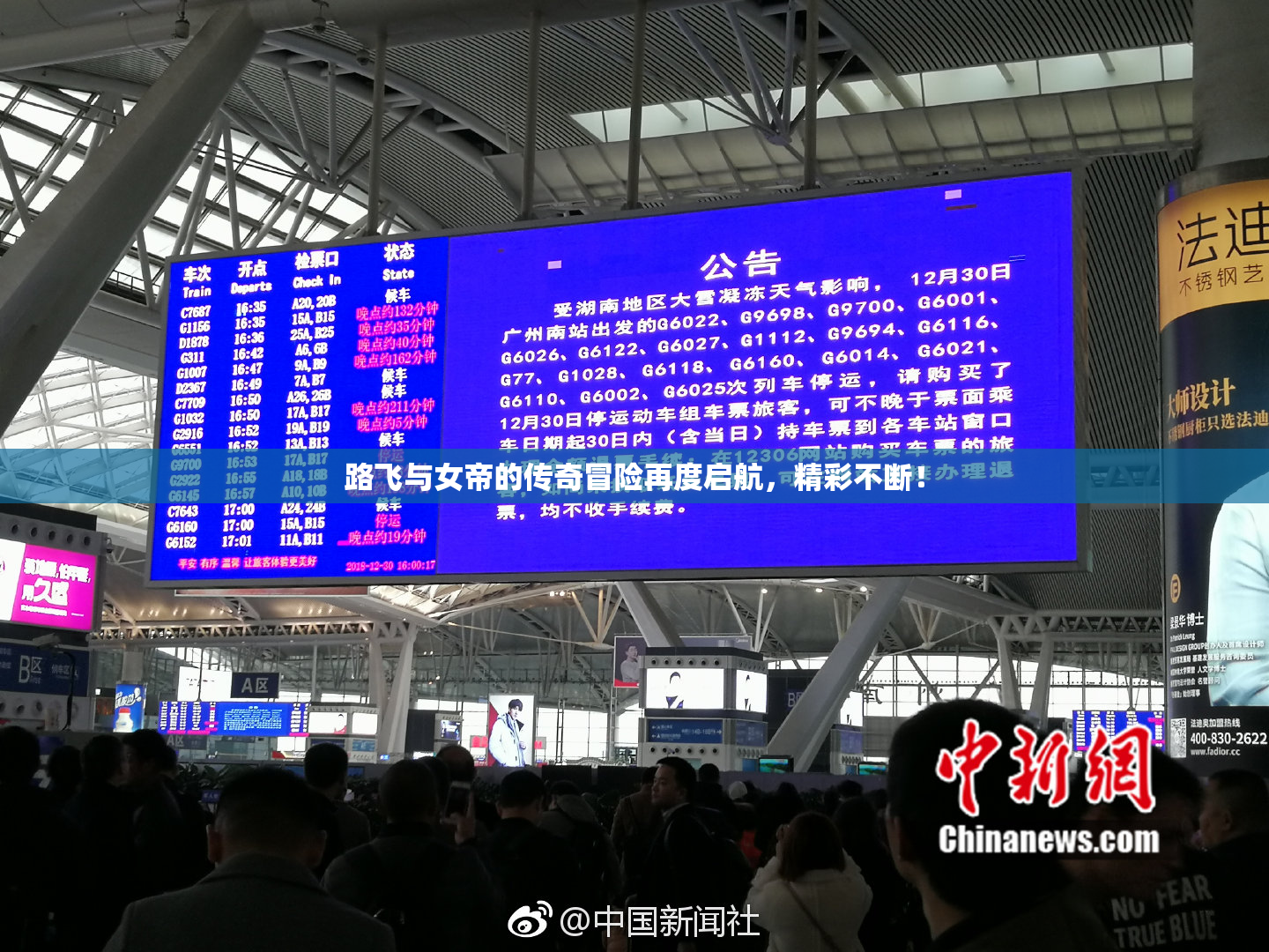 路飞与女帝的传奇冒险再度启航，精彩不断！