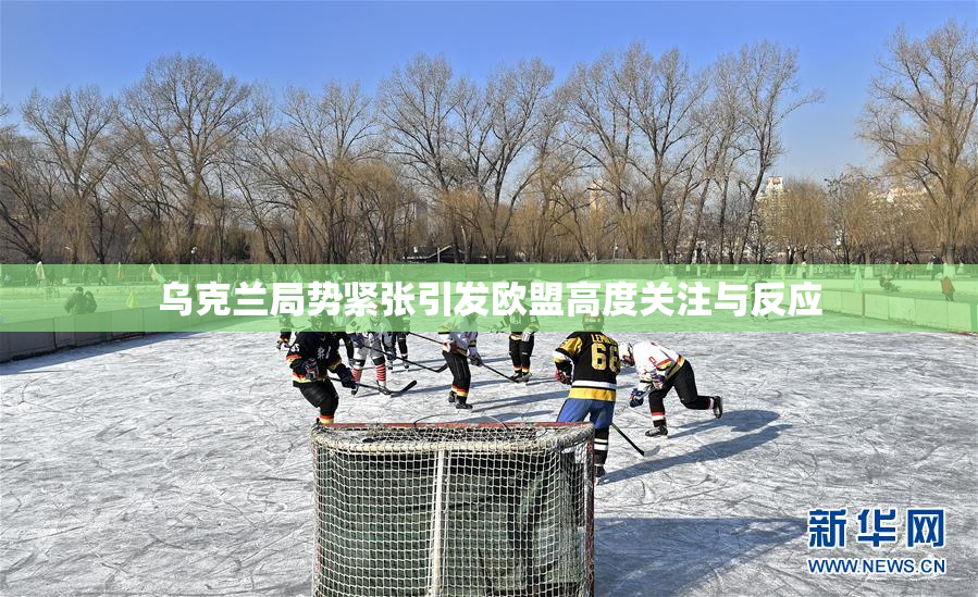 乌克兰局势紧张引发欧盟高度关注与反应