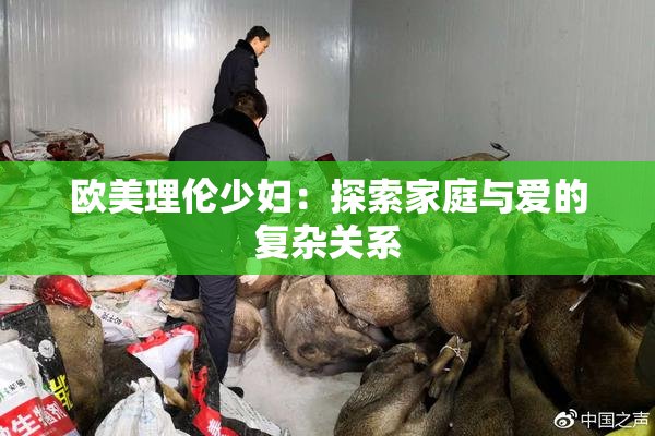 欧美理伦少妇：探索家庭与爱的复杂关系