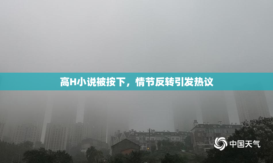 高H小说被按下，情节反转引发热议