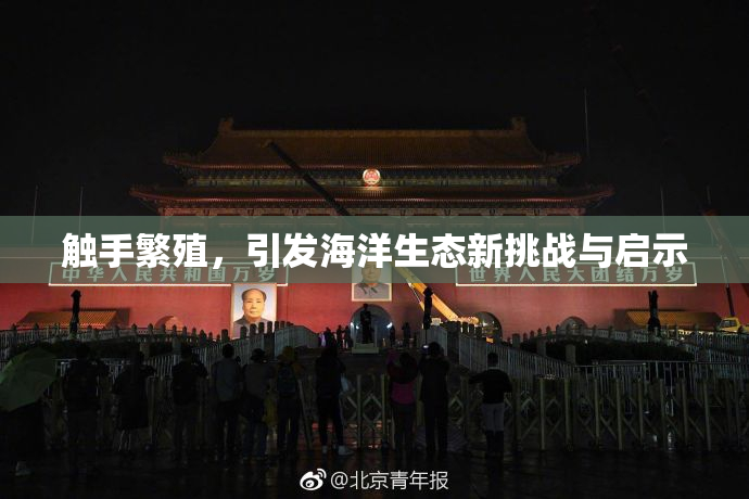触手繁殖，引发海洋生态新挑战与启示