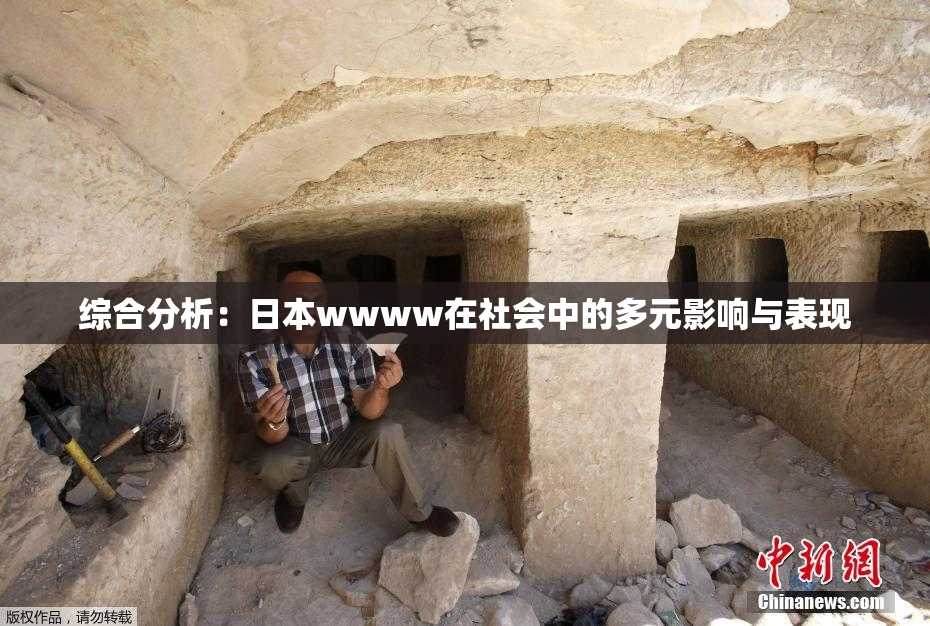 综合分析：日本wwww在社会中的多元影响与表现