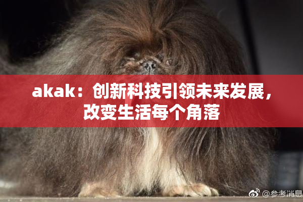 akak：创新科技引领未来发展，改变生活每个角落