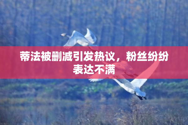 蒂法被删减引发热议，粉丝纷纷表达不满