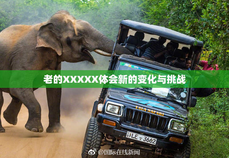 老的XXXXX体会新的变化与挑战