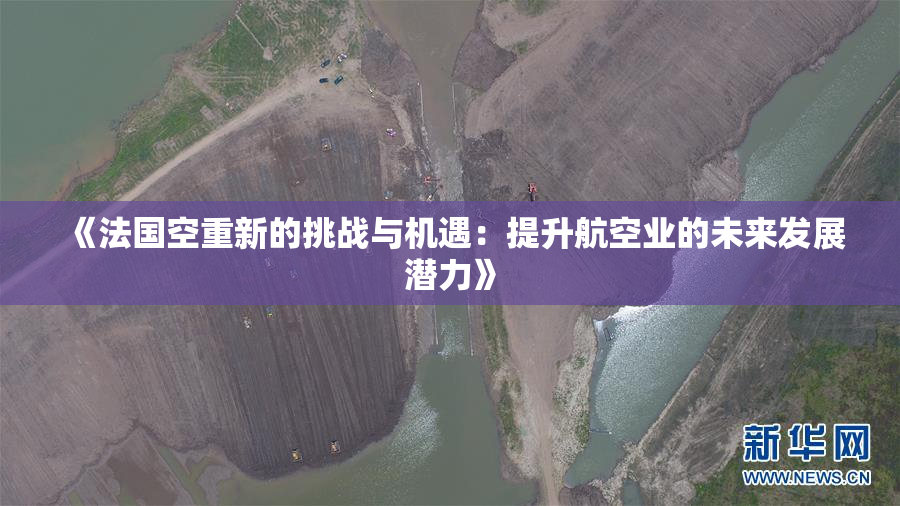 《法国空重新的挑战与机遇：提升航空业的未来发展潜力》