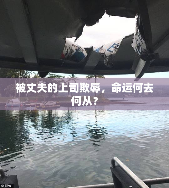 被丈夫的上司欺辱，命运何去何从？