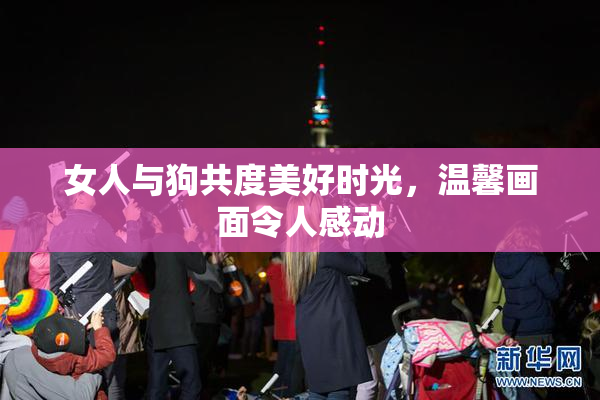 女人与狗共度美好时光，温馨画面令人感动
