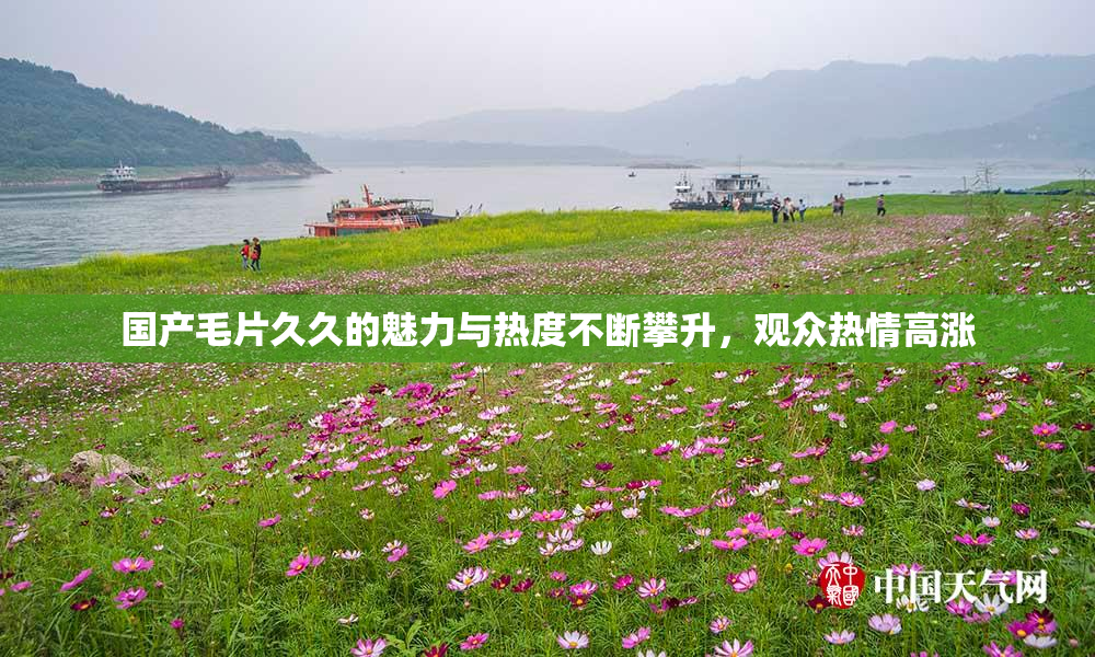 国产毛片久久的魅力与热度不断攀升，观众热情高涨