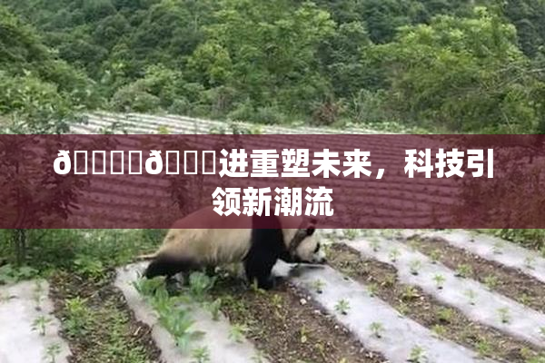 🔞‌🍌进重塑未来，科技引领新潮流