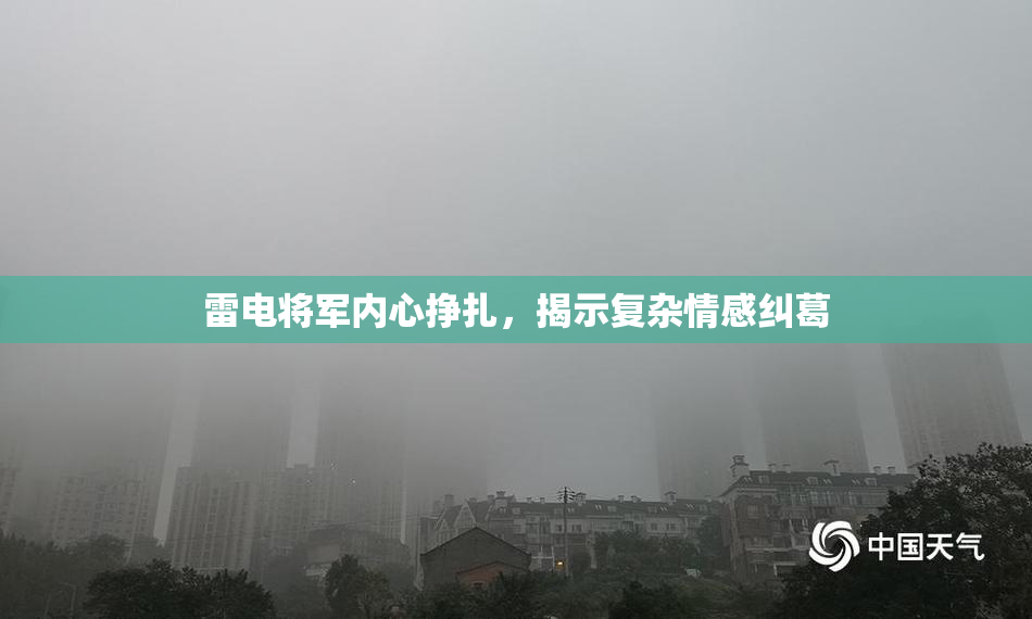 雷电将军内心挣扎，揭示复杂情感纠葛