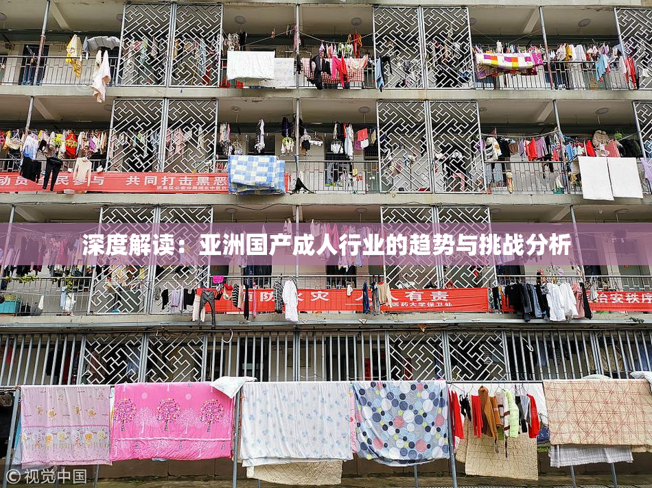 深度解读：亚洲国产成人行业的趋势与挑战分析