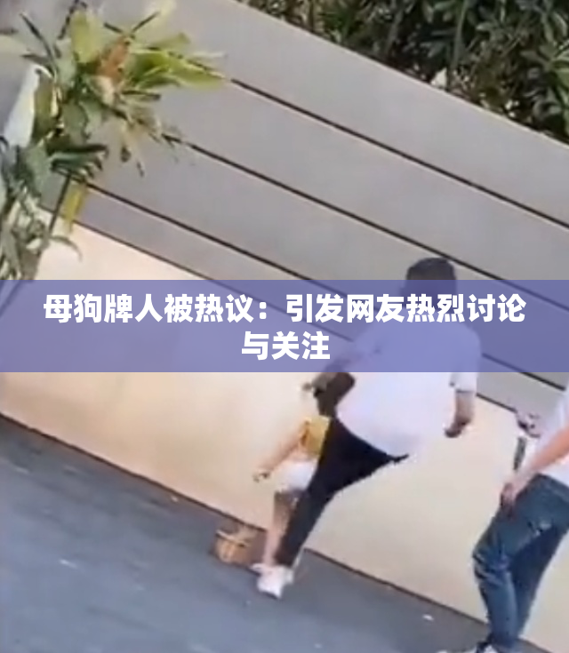 母狗牌人被热议：引发网友热烈讨论与关注