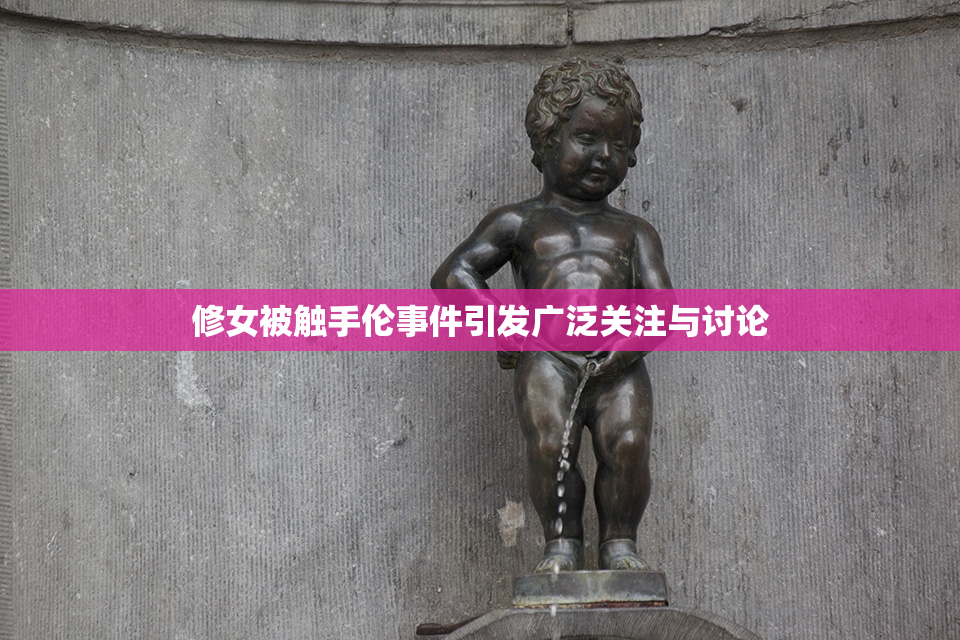 修女被触手伦事件引发广泛关注与讨论