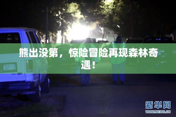 熊出没第，惊险冒险再现森林奇遇！