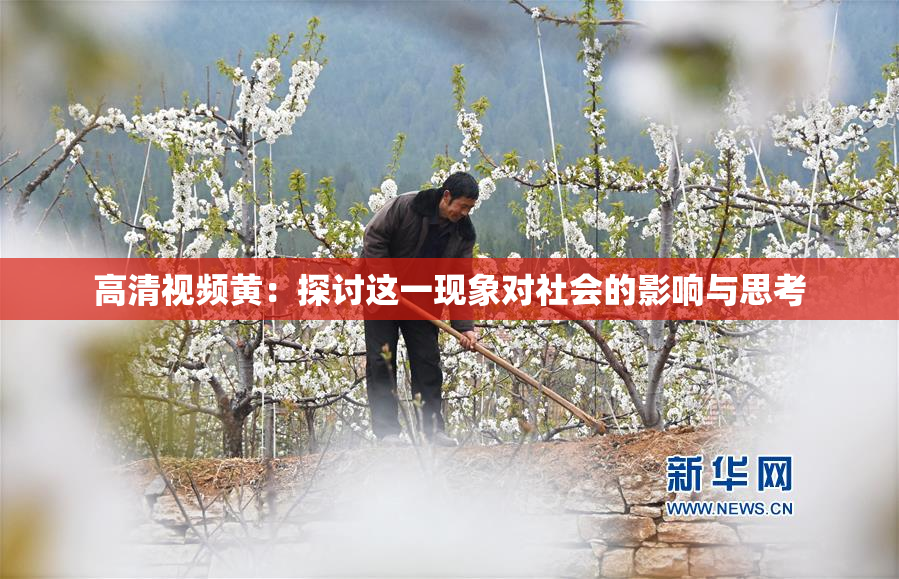 高清视频黄：探讨这一现象对社会的影响与思考