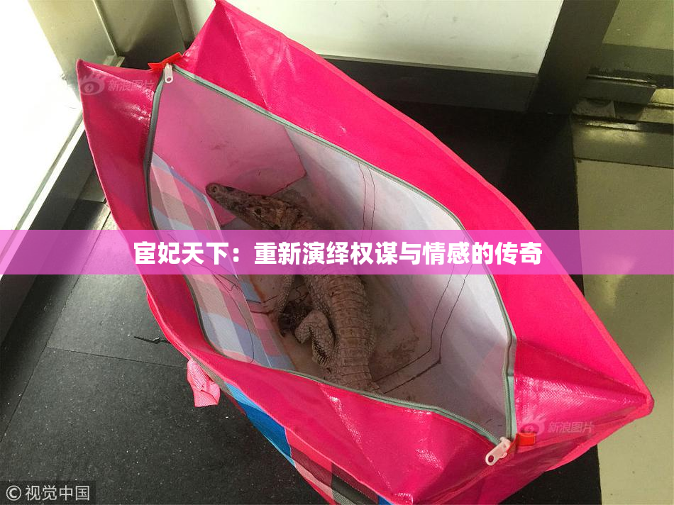 宦妃天下：重新演绎权谋与情感的传奇