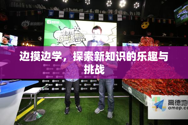 边摸边学，探索新知识的乐趣与挑战