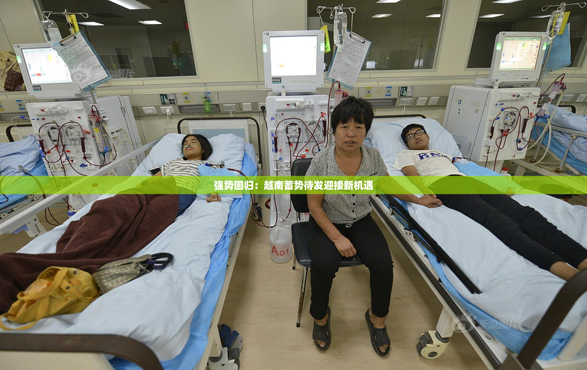 强势回归：越南蓄势待发迎接新机遇